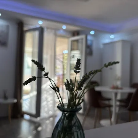 Luxury Nr *